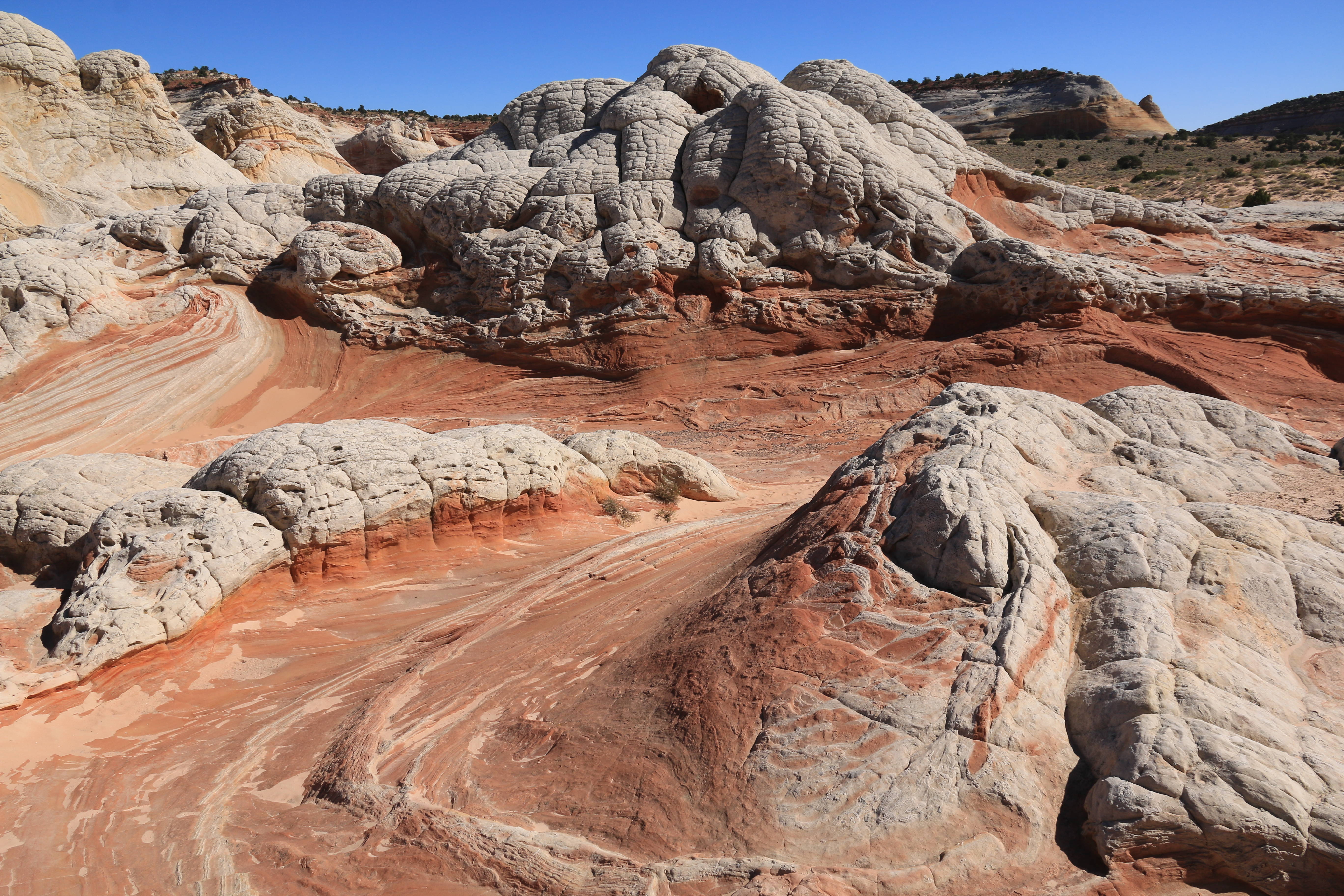 Vermillion Cliffs NM